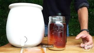 Learn to Craft your Own Kombucha - Nourishme Organics has the Secret!