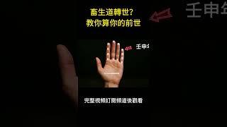 你是天人轉世還是畜生道轉世？手把手教你算你的前世