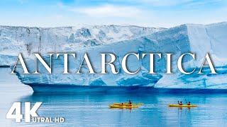 Antarctica 4K Ultra HD • Majestic Glaciers, Snowy Serenity Film with Relaxing Piano Music