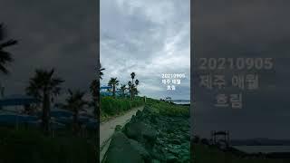 #20210905#제주#애월#하이엔드제주#바다뷰#흐림#주말나들이#shorts