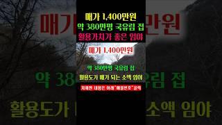 약 380만평의 국유지가 접하고 있어 활용도가 배가 되는 소액 임야입니다