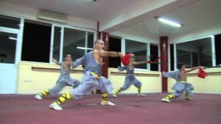 Shaolin Gong Fu 少林功夫