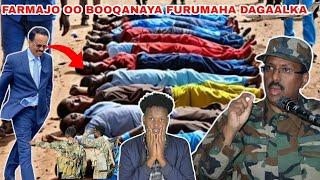 DEG DEG: MADAXWEYNE FARMAAJO OO BOOQANAYA FURUMAHA HORE EE DAGALKA BURAHA CALMISKAD+ FARXADA CIDANKA