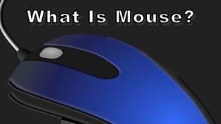 What is Computer Mouse? | Computer Fundamentals