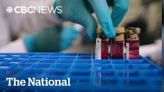 $2,100 cancer blood test is now available in Canada – but is it effective?