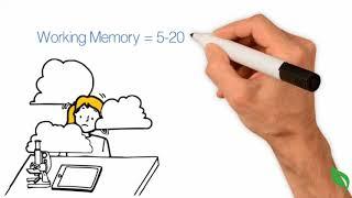 How Does Human Memory Work?