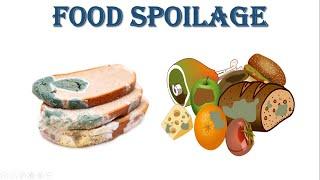 Food Spoilage | Foodborne Microbes | Foodborne Disease