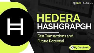 Hedera Hashgraph (HBAR): Fast Transactions and Future Potential in 2024