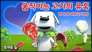 #멍마들  움직이는 고기의 유혹! 강아지를 위한 놀이영상 - Play video for dogs