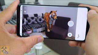 How to View Google 3D Animals in Your Mobile  - AR Feature