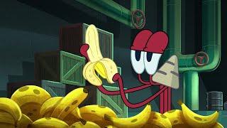 Zig & Sharko | Banana peel (S03E57) BEST CARTOON COLLECTION | New Episodes in HD