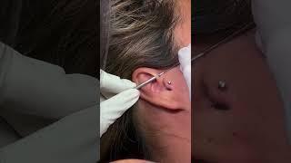 Tragus & Forward Helix using Base Laboratories Piercing Aftercare ️