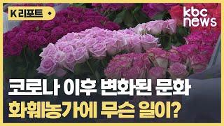 남도 화훼 제 2의 파고를 넘어라!! / KBC뉴스