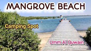 The Mangrove Beach/Umm Al Quwain UAE/Overnight Camping Spot