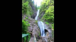 WaterFall in Carpathians (Duruitoarea) #shorts