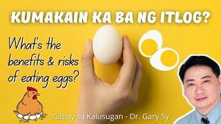 Eggs: Health Benefits & Risks - Dr. Gary Sy