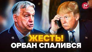 Орбан НАЧУДИВ перед ВИБОРАМИ в США! Угорський ПРЕМ’ЄР надзвонює Трампу. Спливла уся РОЗМОВА