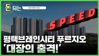 '후일 가장 잘 나갈 단지'/ 브레인시티 푸르지오 청약분석