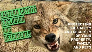 Eastern Coyote Exclusion and Deterrent Tactics Presentation