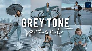 lightroom mobile presets free dng | free lightroom presets GREY TONE (GREY 2020) [Free Download DNG]