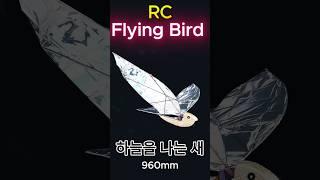 Home made RC Flying Bird _ 하늘을 나는 새 960mm _ Ornithopter #shorts #Ornithopter #Flapping_Wing #Bird
