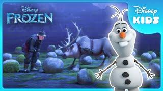 Countdown Olaf's Top 5 Moments | Frozen ️ | Disney Kids