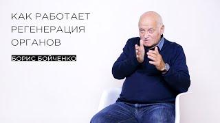 «Как работает регенерация органов» — тренер по саморегуляции Борис Бойченко