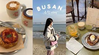 [Busan vlog] Healing in Gwangan-ri  Becoming a Corona in Korea 