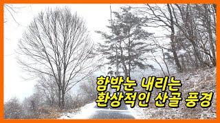 함박눈 내리는 환상적인 산골 풍경 / Fantastic korean mountain with snowfall