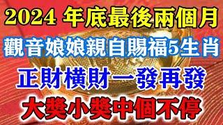 2024年底最後兩個月！觀音娘娘親自賜福5生肖，正財橫財一發再發，大獎小獎中個不停！#運勢 #風水 #佛教 #生肖 #发财 #横财 【佛之緣】