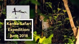 Kanha National Park Safari Experience: Wilderlust with Shashank Birla (June 2018)