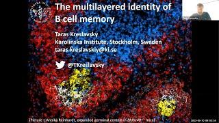 "I. Layered identity of B cell memory. II. Unusual specificities of γδTCRs." by Dr. Taras Kreslavsky