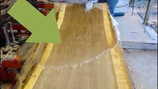 Ever See CURLY Black Walnut?