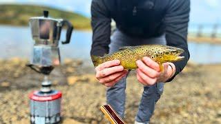 TROUT Catch and Coffee in the Mountains️ Lure Fishing