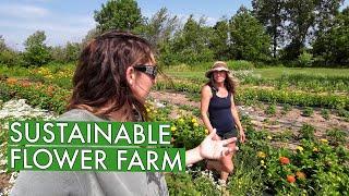 Inside Her Sustainable Flower Farm (Folls Flower Farm)