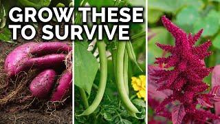 7 Survival Crops to Grow for MAXIMUM Calories