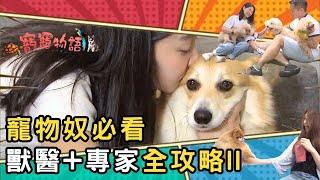 養寵物必看 獸醫+專家全攻略 II｜寵物護理｜寵寵物語 7-13 合集｜Pet Talks｜TVB