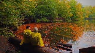 BOLU YEDİGÖLLER CAMPING / WE WERE CAUGHT IN THE STORM