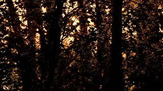 Alexey Filin (DP-6) - Textura, part 01