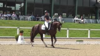 QUOTENKÖNIG & Lisa Lindner - 1. Qualifikation zur WM der Jungen Dressurpferde 2016