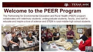 Overview of the PEER Program at Texas A&M College of Veterinary Medicine & Biomedical Sciences