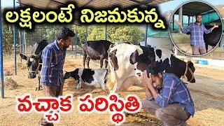 ఊహించినంత ఉండదు Dairy Farm Profit or Loss? @MalleshAdla