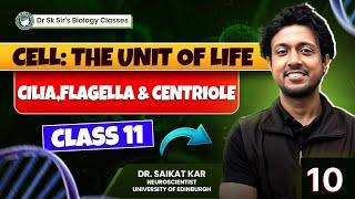 Cell: The Unit of Life | Part 10 | (Cilia, Flagella, Centroile) #SKsBiologyClasses