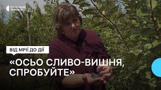 Фініки, ківі, інжир, хурма, айва — 25 сортів рослин вирощує у своєму саду жителька Маньківки