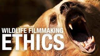 Wildlife filmmaking ETHICS - Stuff you should know