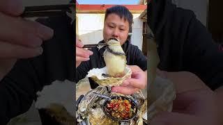 asmr eating raw oysters mukbang