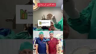 Neurosurgeon Dr. Waheed Alam Aman Hospital .#foryou #vlog #love