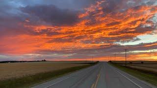 Northern Alberta . WHEAT HARVEST 2022