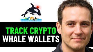 How To Track Crypto Whale Wallets | Find Crypto Whale Wallets 2024! (FULL GUIDE)