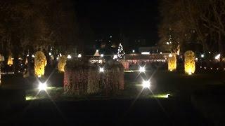 09.12.2015 - Uferlichter im Kurpark von Bad Neuenahr